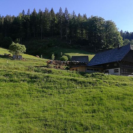 Ferienwohnung Glashuette 圣玛尔根 外观 照片