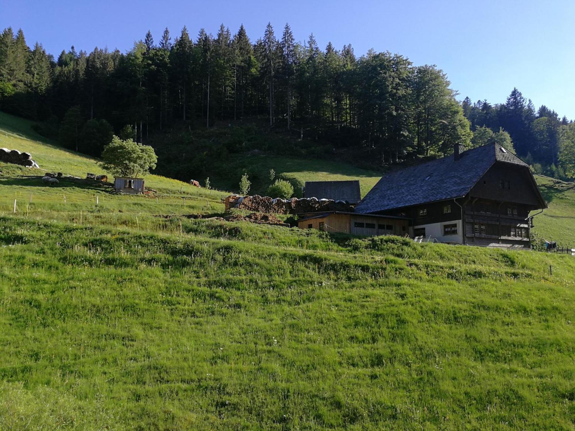 Ferienwohnung Glashuette 圣玛尔根 外观 照片